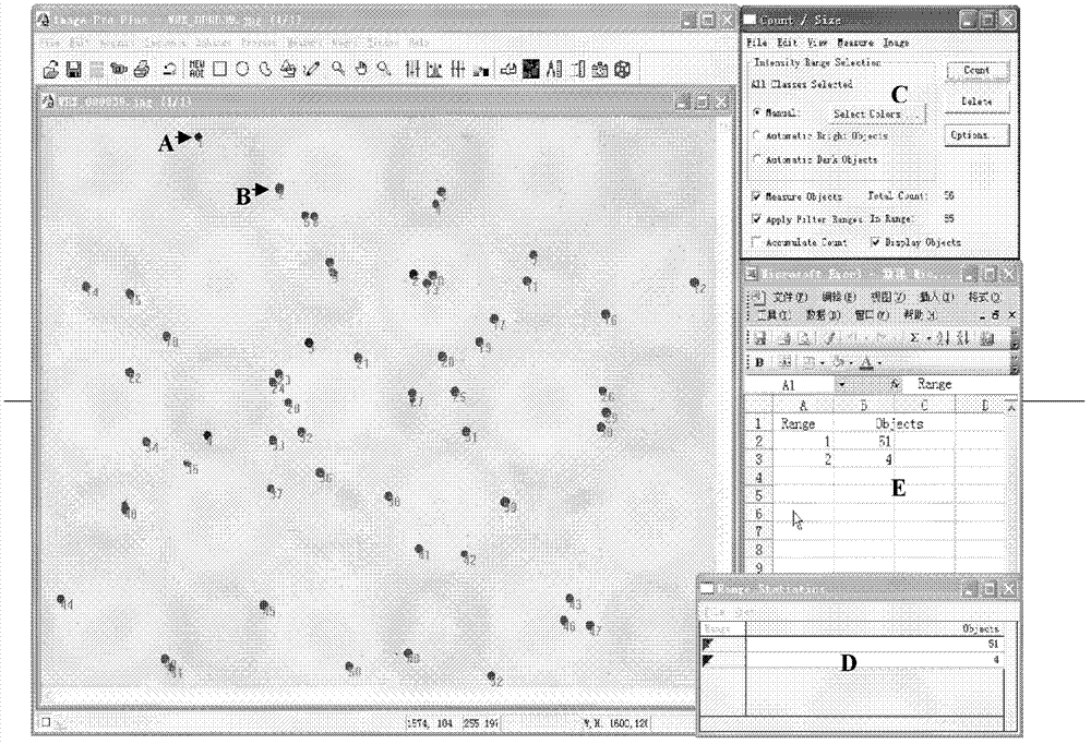 Method for determining pollen number in rice anther