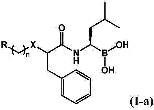 Boric acid compound used as 20S proteasome inhibitor, and preparation method thereof