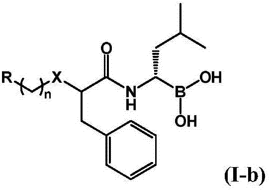 Boric acid compound used as 20S proteasome inhibitor, and preparation method thereof