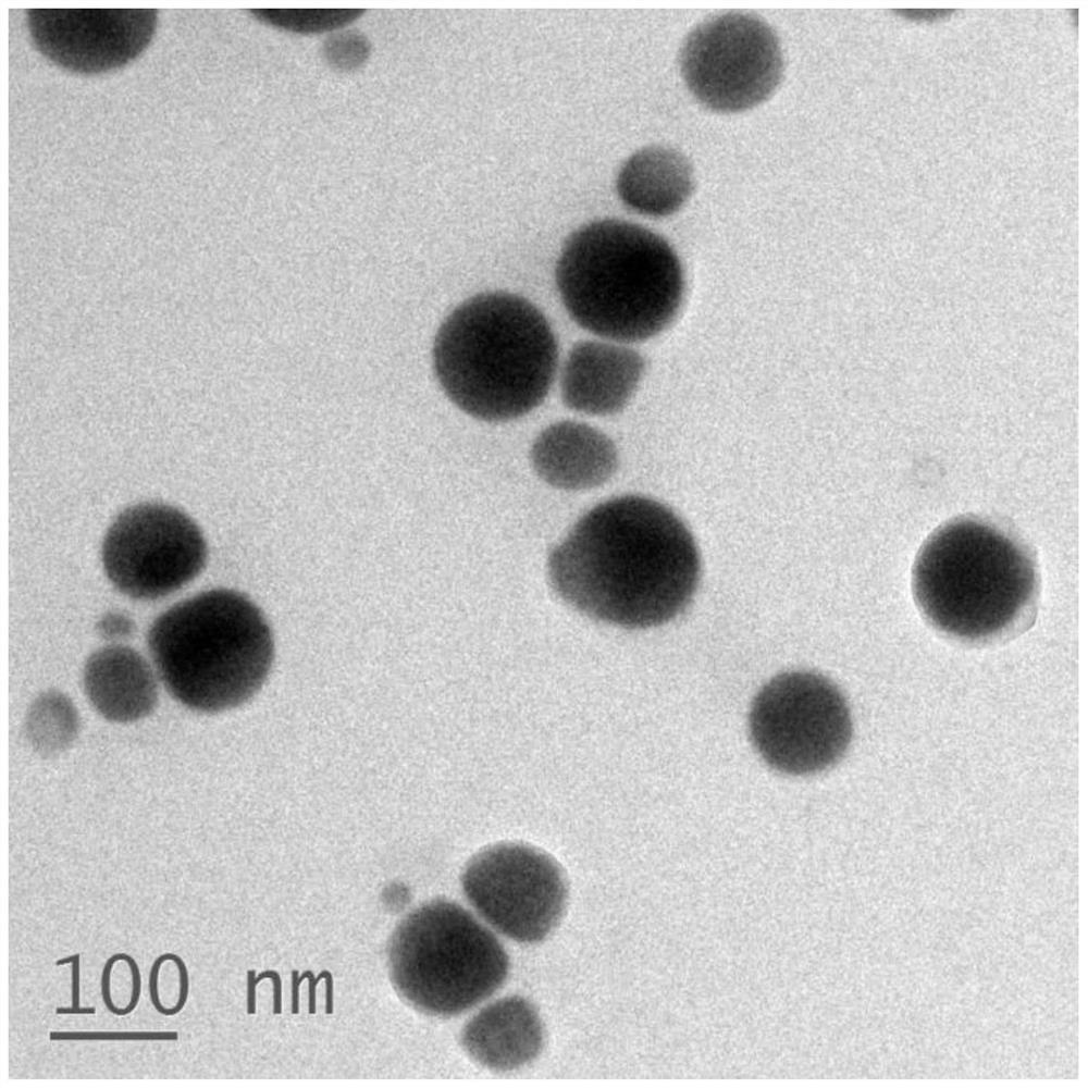 Preparation method and application of nanoparticles capable of inhibiting Aβ polypeptide aggregation and scavenging active oxygen