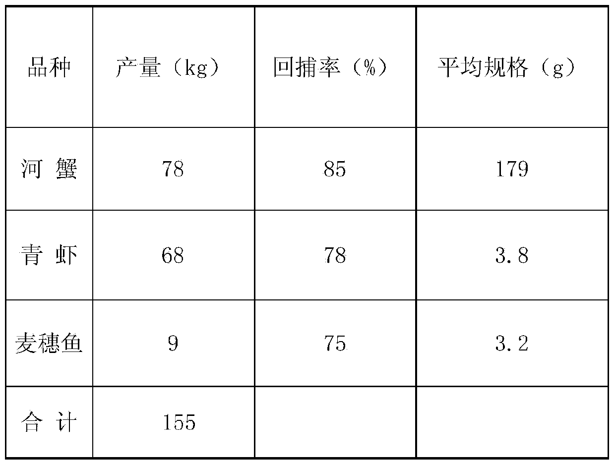 Ecological breeding method for efficient polyculture of river crabs, freshwater shrimps and pseudorasbora parva