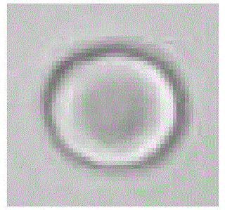 Automatic focusing method and device used for microscope