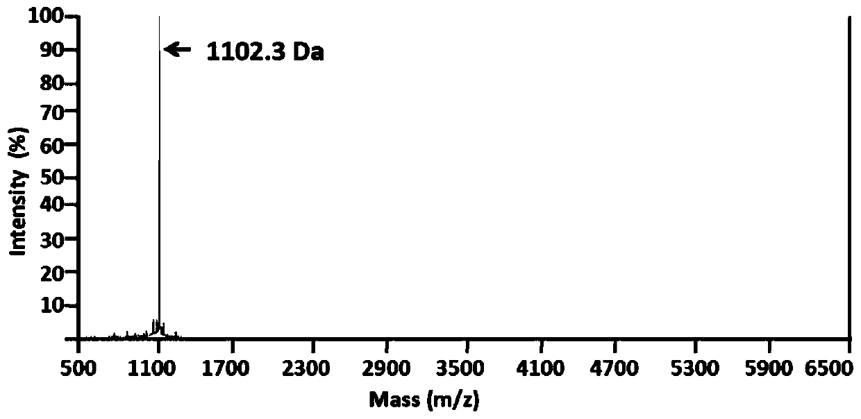 Bioactivity polypeptide and application thereof to preparation of alpha-glucosidases inhibitor