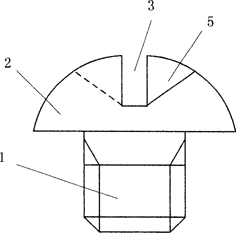 Anti-theft screw