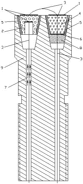 An electrochemical oxygen control device for high-pressure hydrothermal system and its preparation method