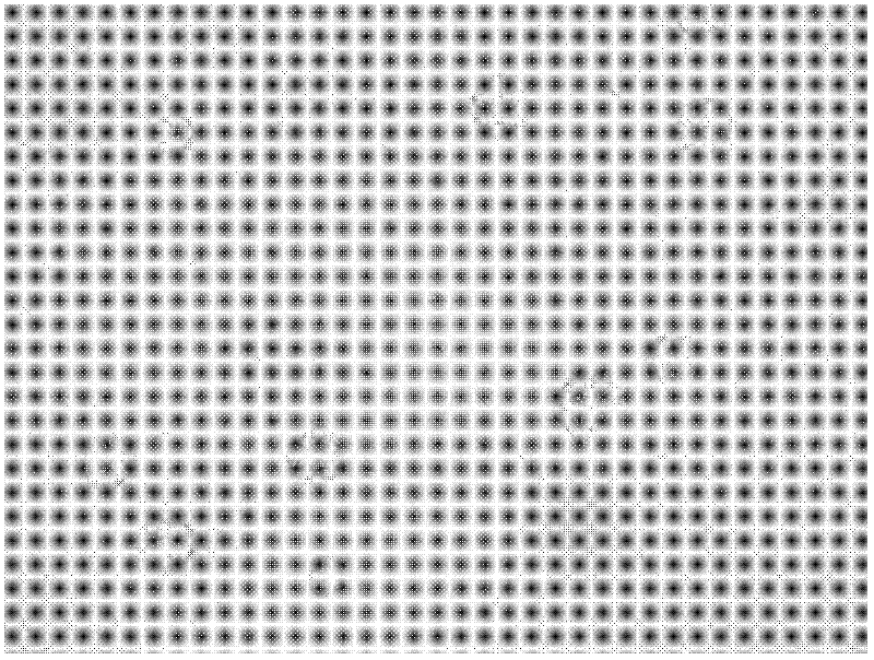 Solid culture medium for quick detection of mycoplasma, and preparation method thereof