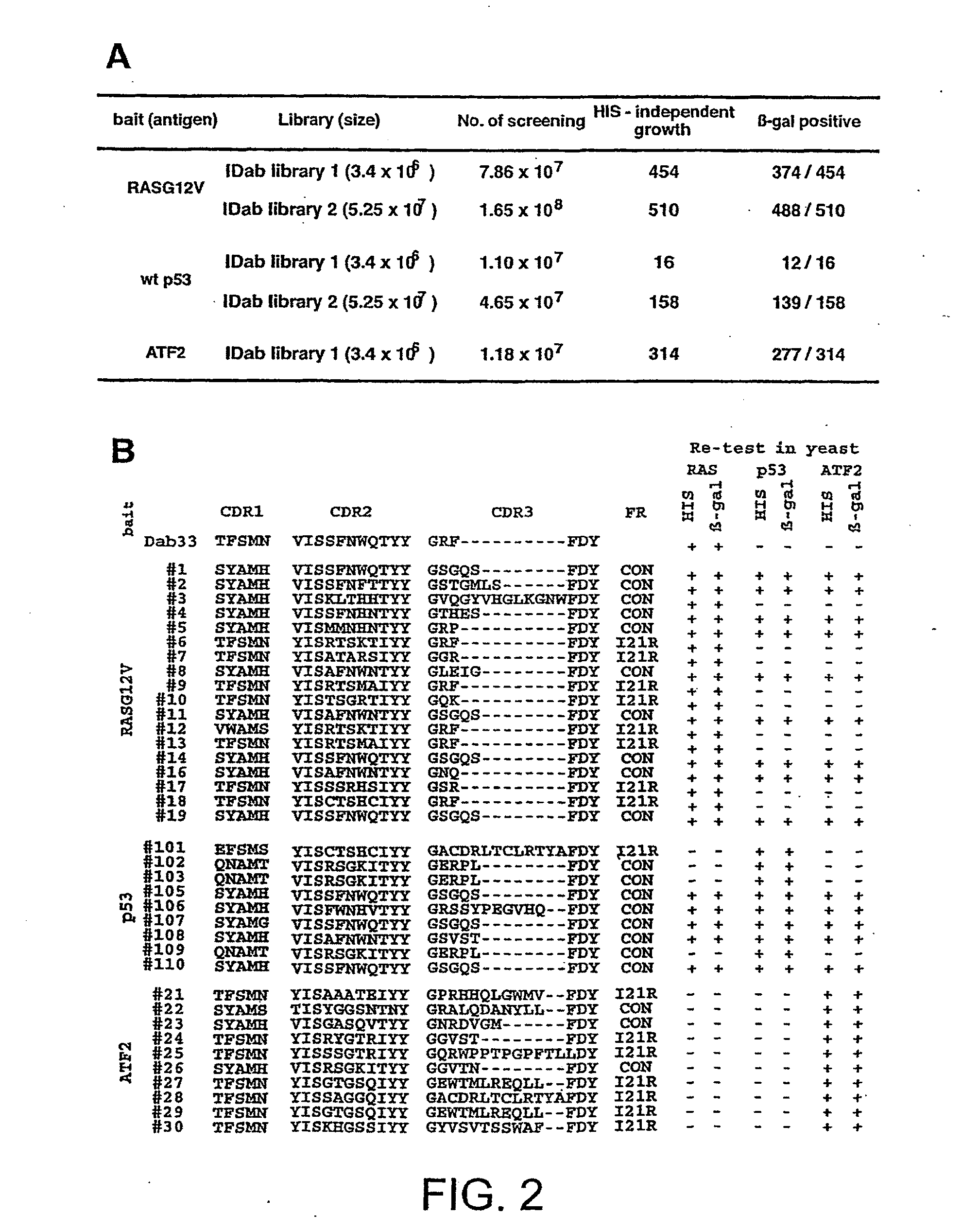 Intracellular antibodies