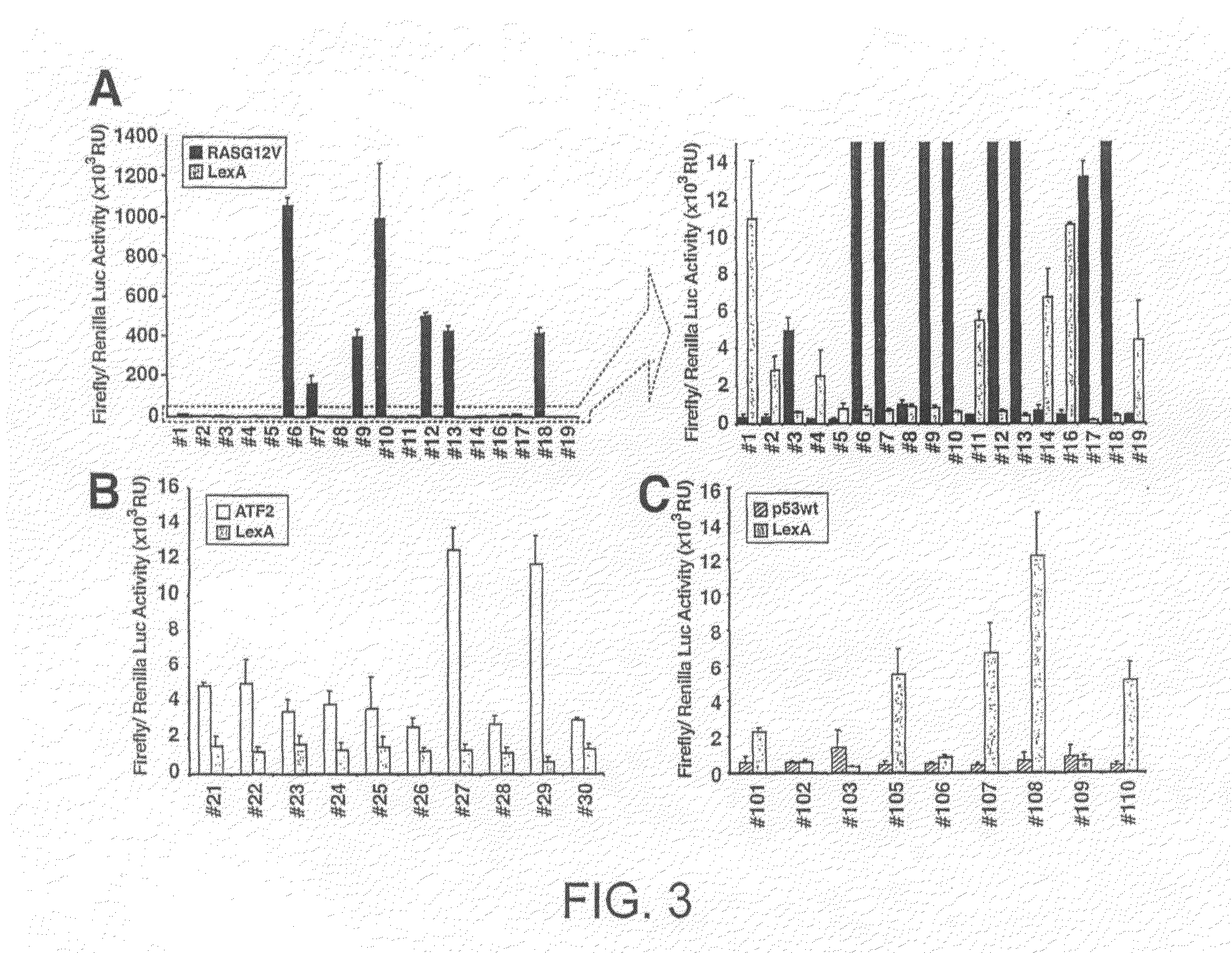 Intracellular antibodies