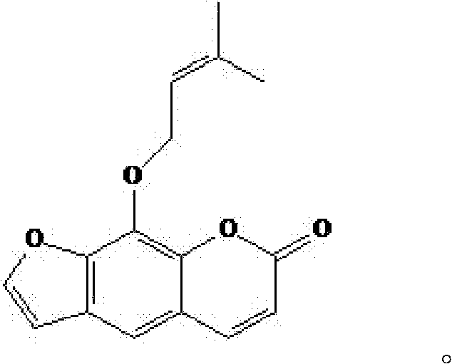 Imperatorin sustained release tablets and preparation method thereof