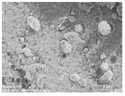 Polyether-ether-ketone based wear-resistant composite material and preparation method thereof