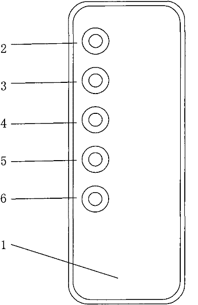 A kit for detecting bacterial flora in vaginal secretions and its preparation method