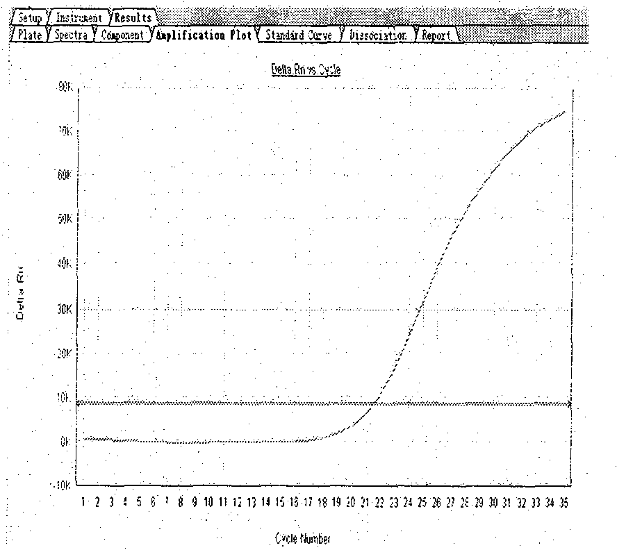 6,11 type human papillomavirus fluorescence quantitative PCR detection method and kit thereof