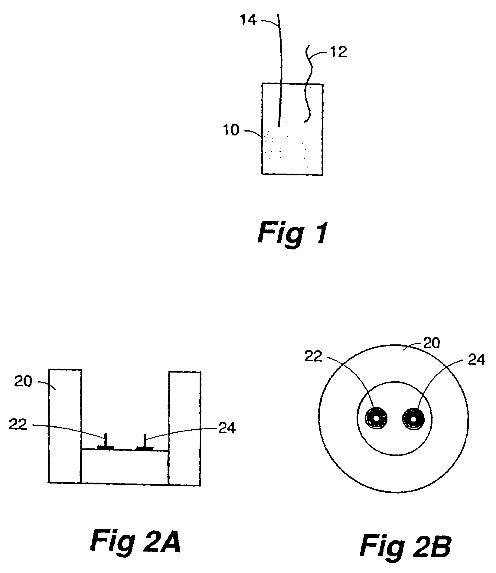 Electrodes for solid state gas sensor