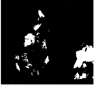 Cobalt ion doped carbon nitride hollow quadrangular prism and preparation method thereof