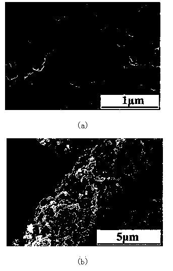 Modified oriented carbon nanometer carbon tube bundle and preparation method thereof