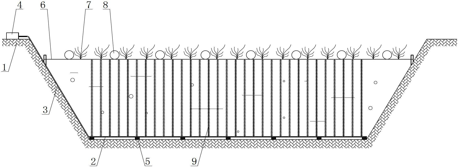 Composite purification regulating and controlling system for water body in cultivation pond