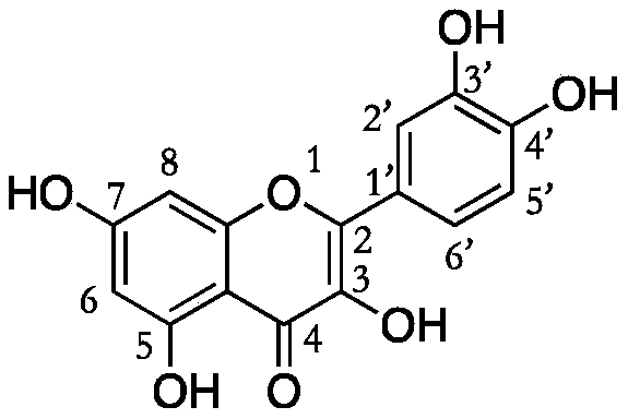 Quercetin derivative chemically modified by dodecanoyl chloride and synthesis method thereof