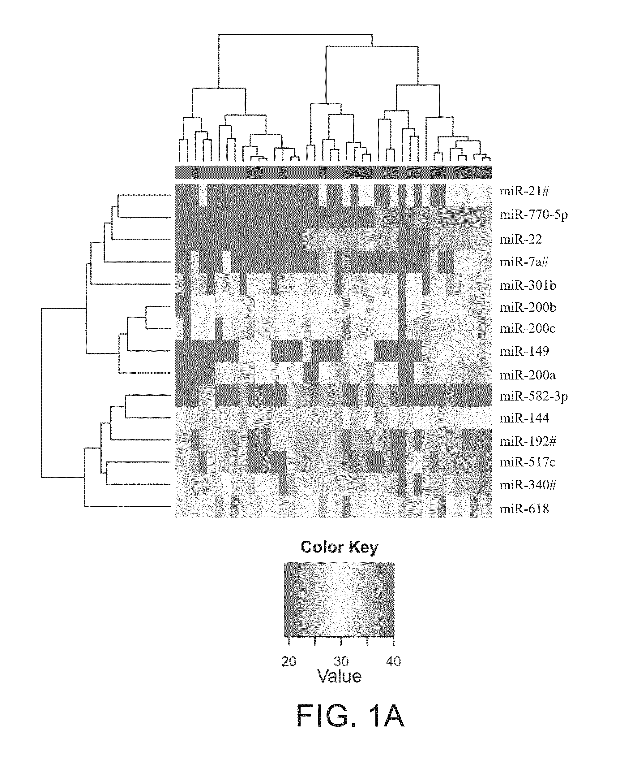 CIRCULATING miRNAs AS EARLY DETECTION MARKER AND PROGNOSTIC MARKER