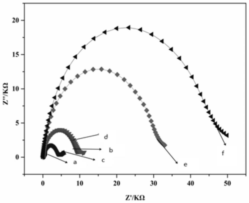 An electrochemical immunosensor for detecting silkworm nuclear polyhedrosis virus and its detection method