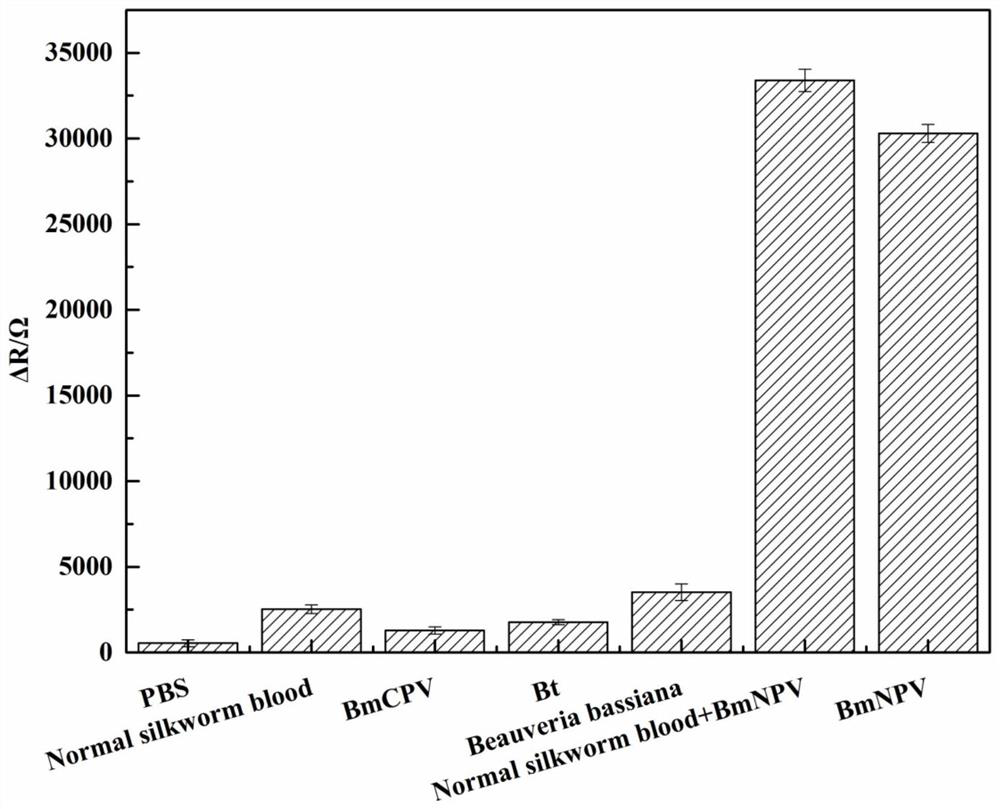 An electrochemical immunosensor for detecting silkworm nuclear polyhedrosis virus and its detection method