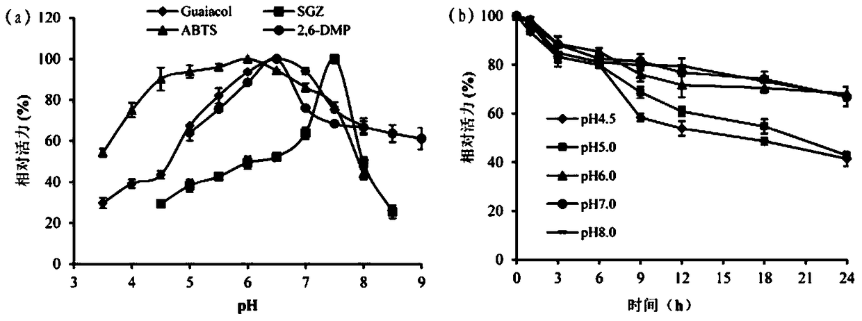 A kind of cocoa arbuscularis laccase and its engineering bacteria, recombinant laccase and application