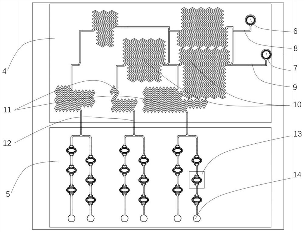 A high-throughput tumor-targeted drug concentration screening microfluidic device