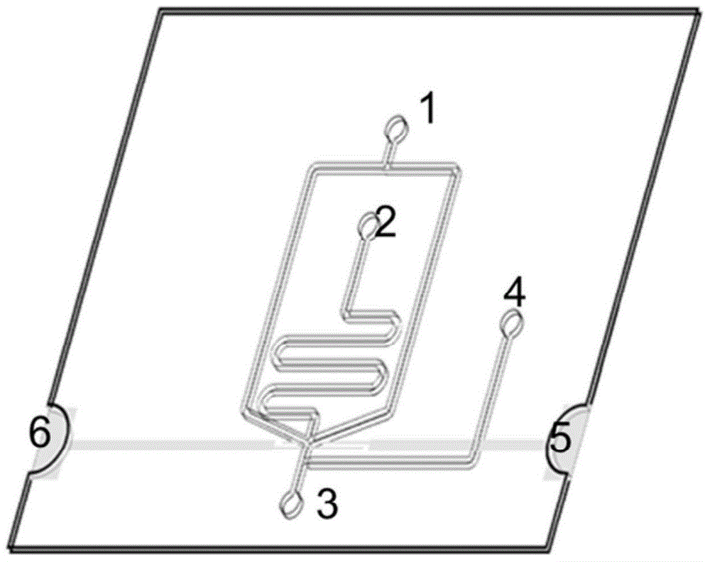 Pressure sucking-based cell/particle sorting system and method