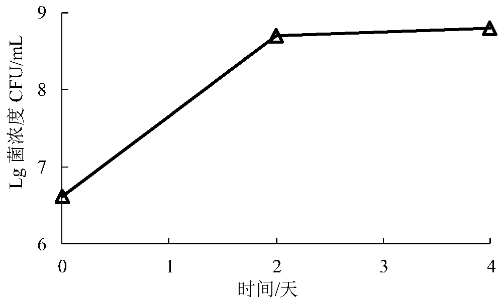 Rhodococcus ruber HDRR2Y for removing inorganic nitrogen and phosphorus in seawater pond culture tail water and application of rhodococcus ruber HDRR2Y