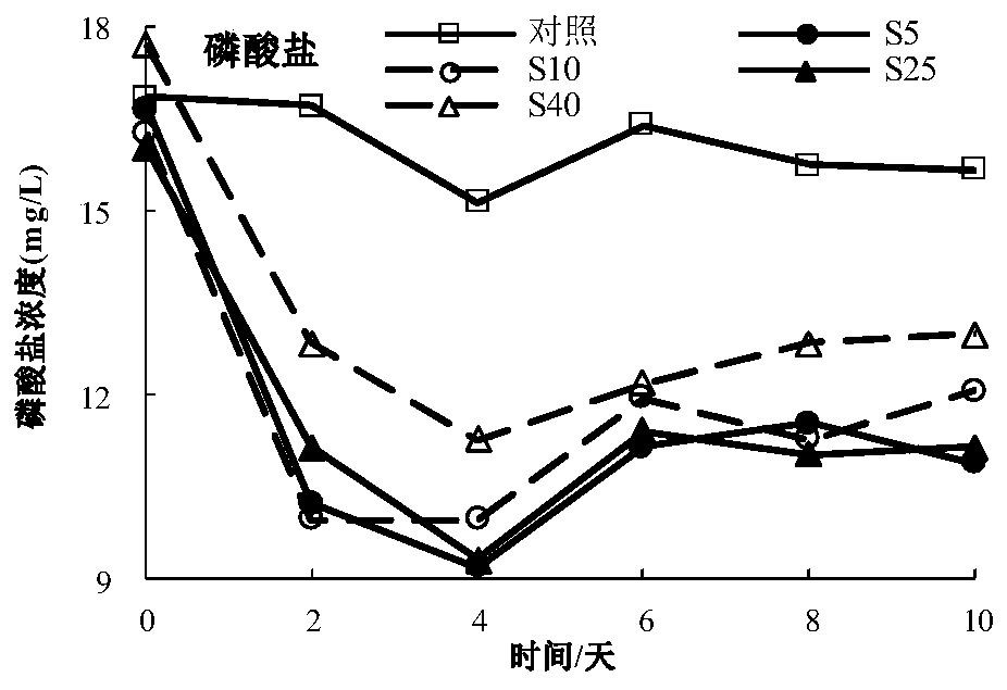 Rhodococcus ruber HDRR2Y for removing inorganic nitrogen and phosphorus in seawater pond culture tail water and application of rhodococcus ruber HDRR2Y