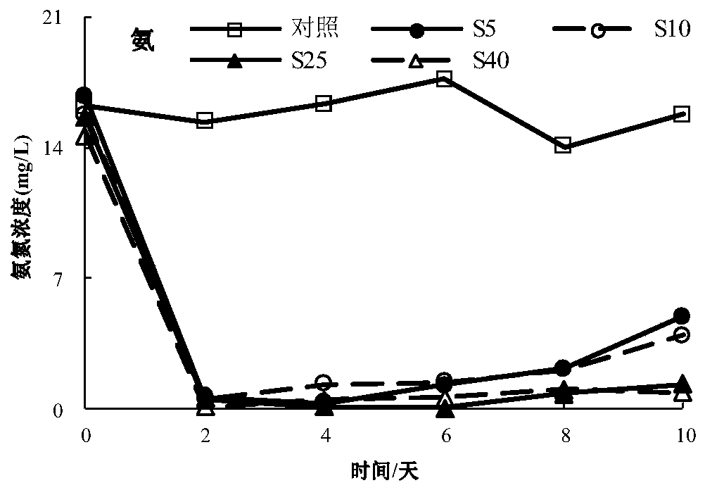 Rhodococcus ruber HDRR2Y for removing inorganic nitrogen and phosphorus in seawater pond culture tail water and application of rhodococcus ruber HDRR2Y