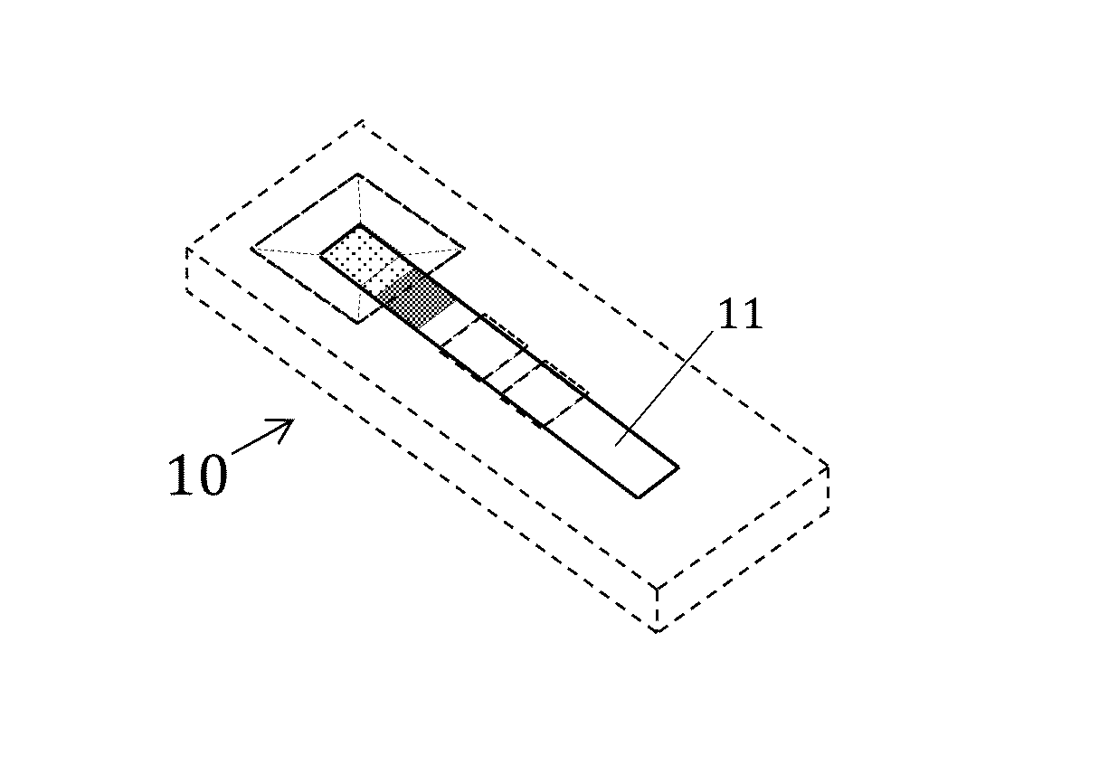 System and method for spatiotemporally analyzed rapid assays