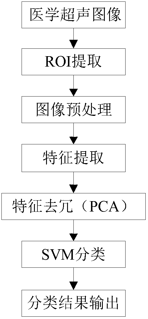 Automatic medical ultrasonic image recognition method based on redundant characteristic reduction