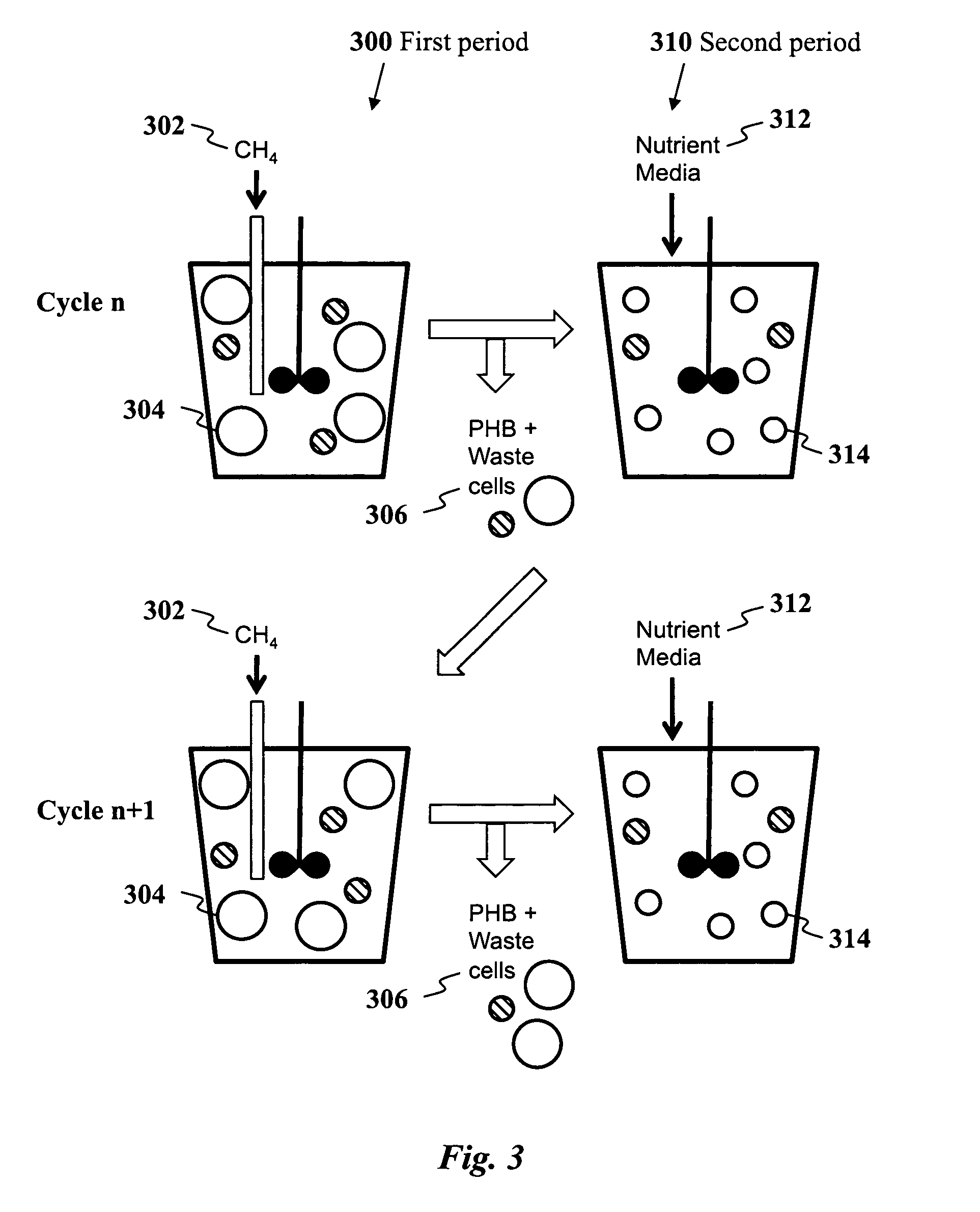 Use of selection pressures to enable microbial biosynthesis of polyhydroxyalkanoates from anaerobic degradation products