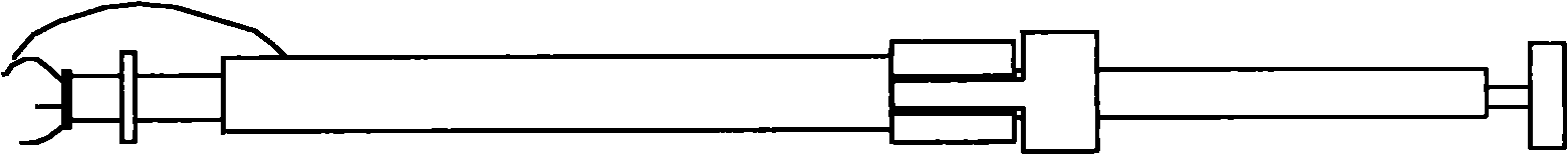 Method for culturing nucleated pearls