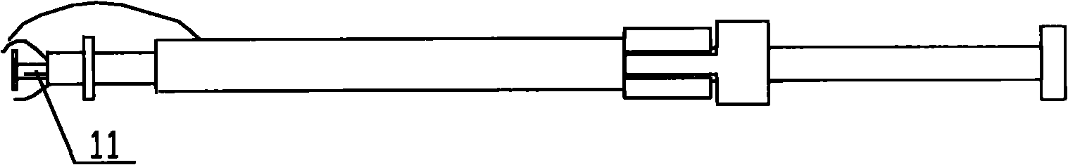 Method for culturing nucleated pearls