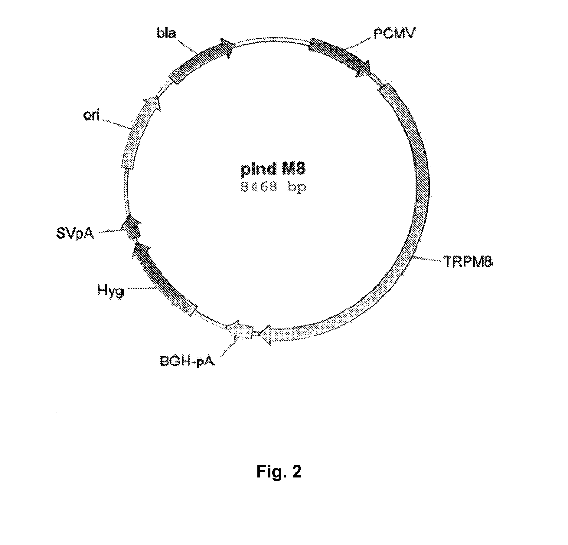 Use of physiological cooling active ingredients, and agents containing such active ingredients