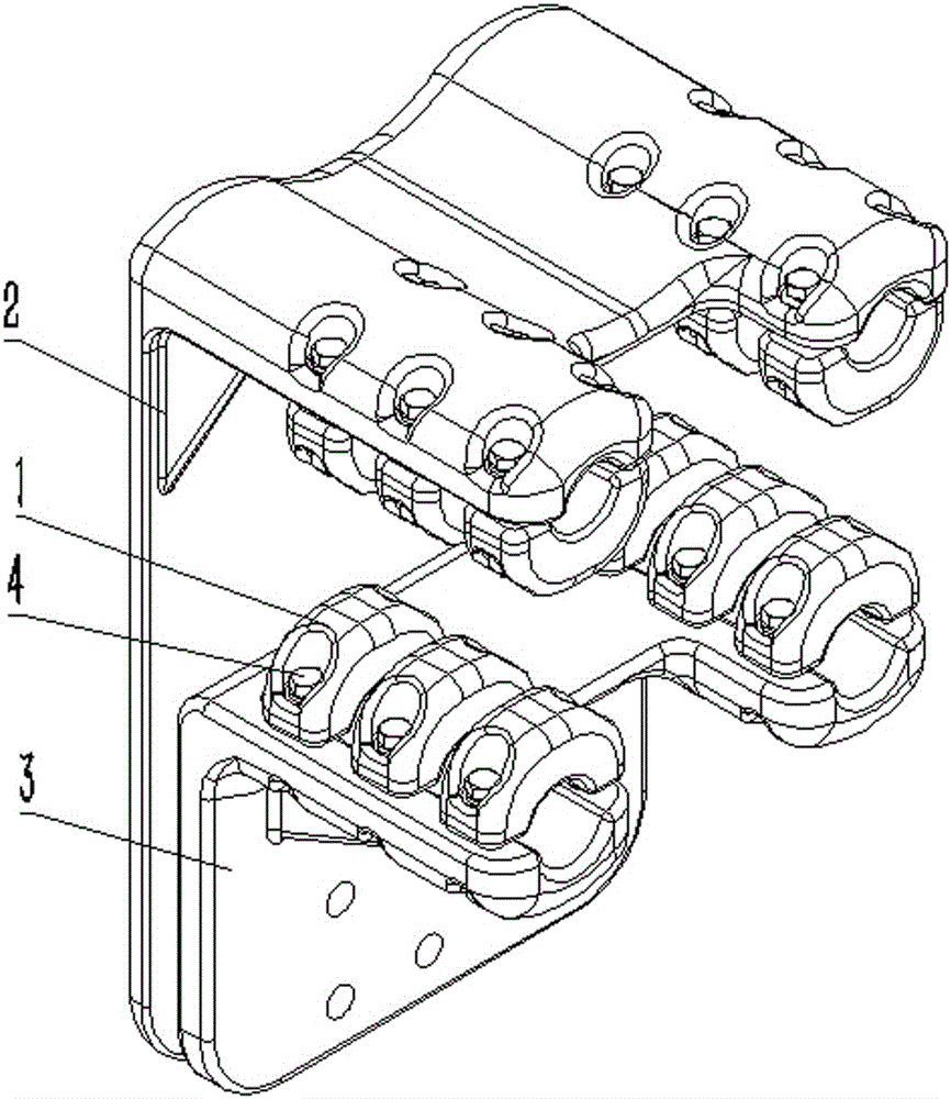 Split clamp fitting