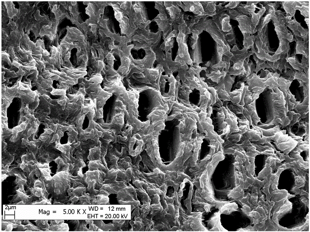 Method for preparing xylem sample of haloxylon ammodendron for scanning electronic microscope