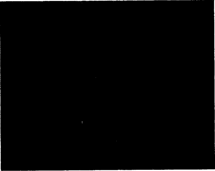 Polymer microsphere containing inorganic nano microparticles, and its preparing method and use