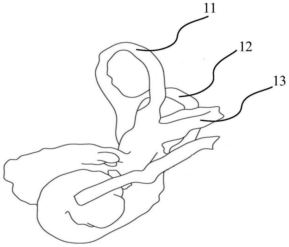 Spatial data processing and positioning method, device and electronic equipment for temporal bone