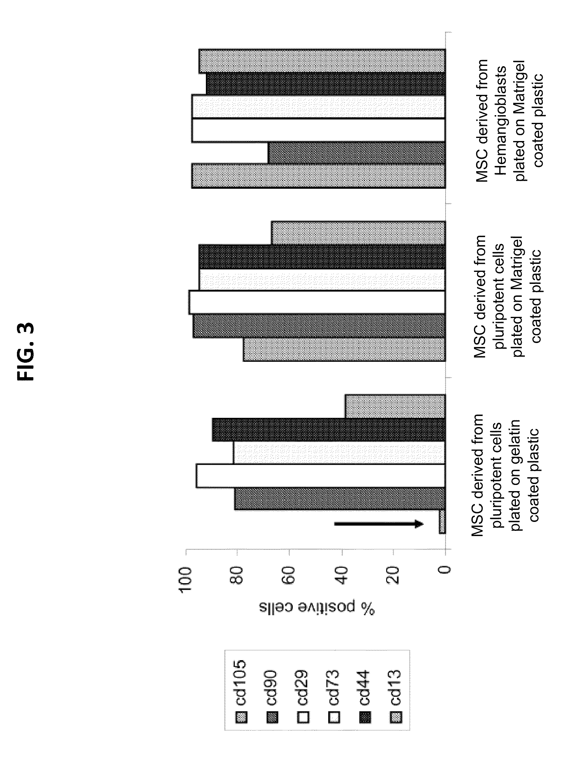 Mesenchymal stromal cells and uses related thereto