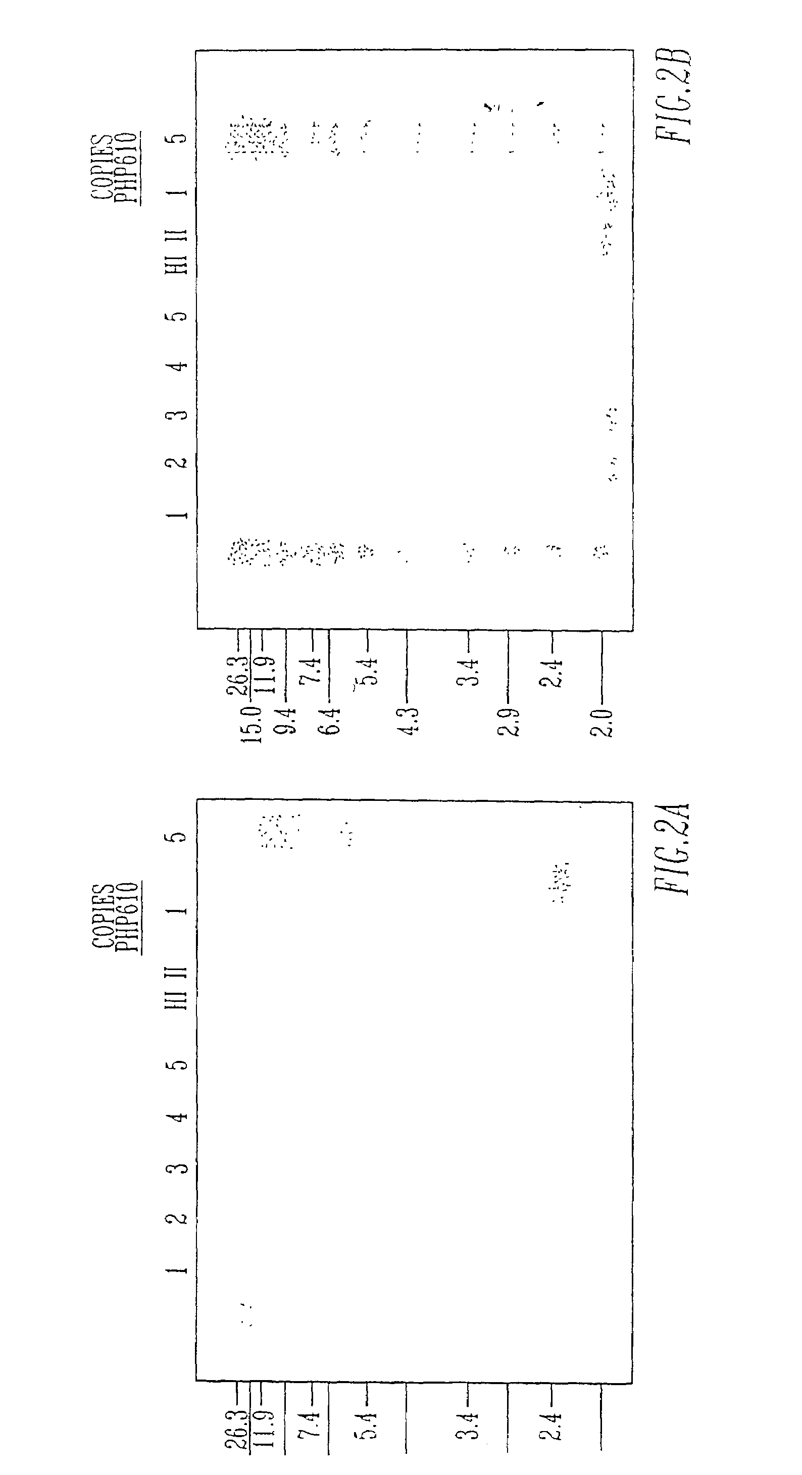 Methods for commercial production of heterologous laccase in plant tissue and extraction of the laccase from plant seed