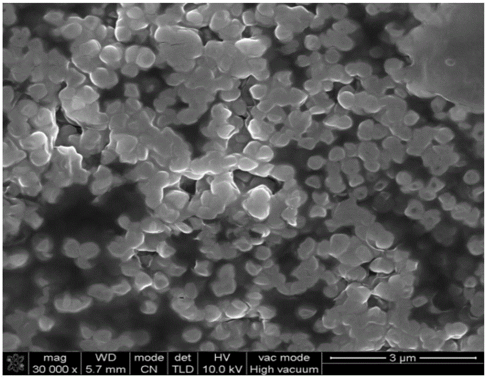 Polyethylene glycol-modified vitamin E liposome and its preparation method and use