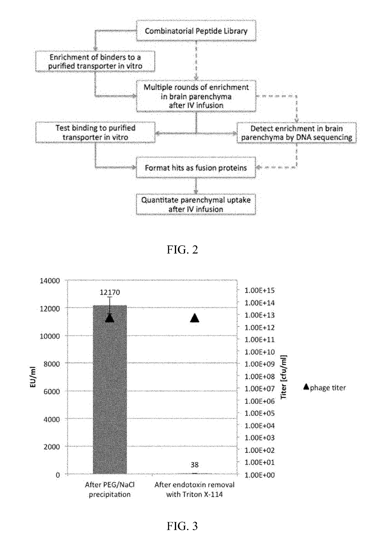 In Vivo Methods for Selecting Peptides that Cross the Blood Brain Barrier, Related Compositions and Methods of Use