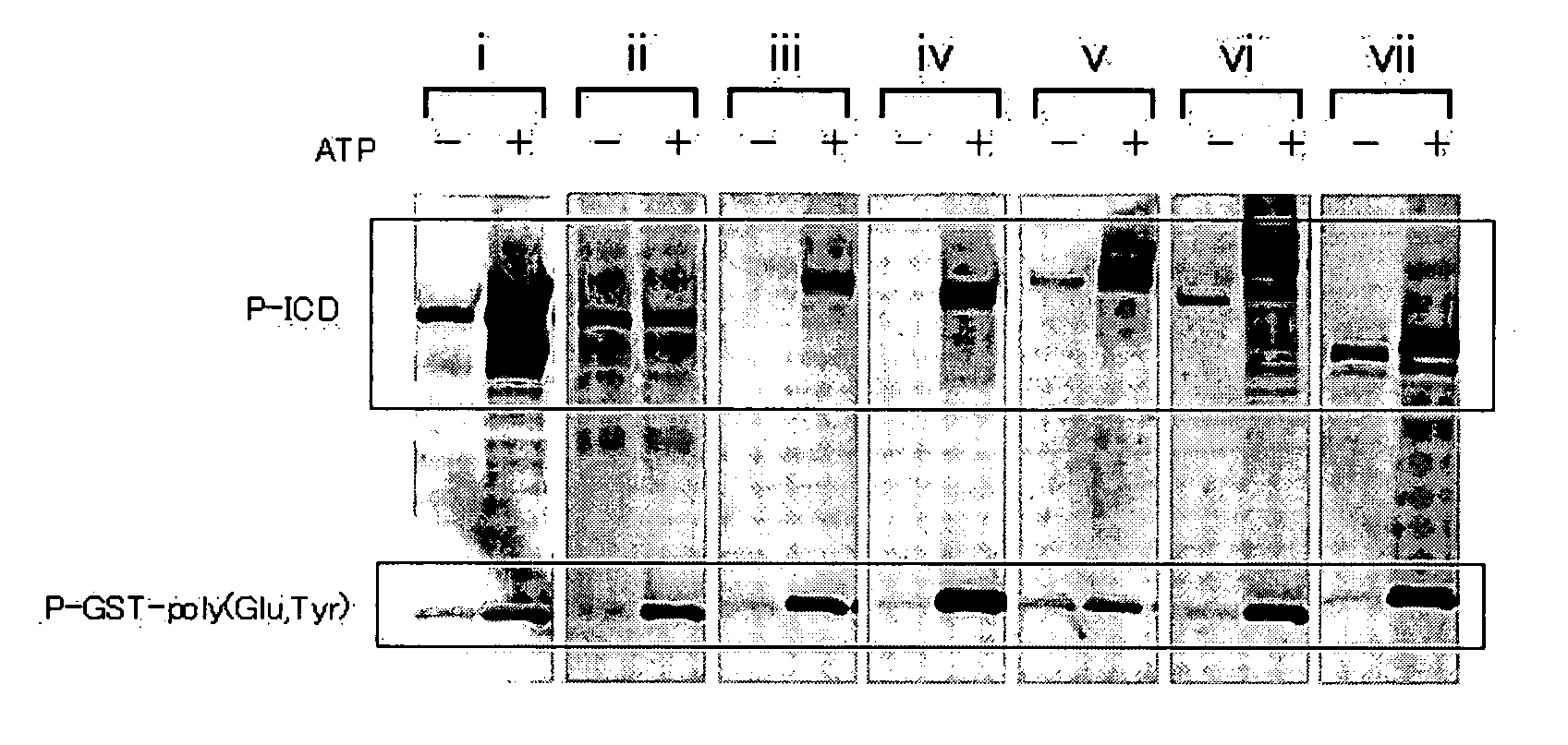 Method for assessing proliferation inhibiting effect of inhibitor, and method for determining sensitivity of tumor cell to inhibitor