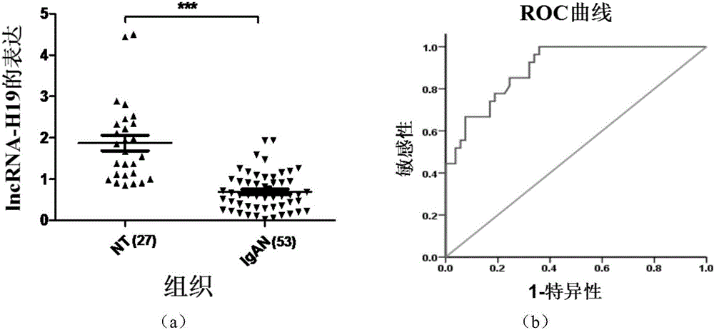 Chronic kidney disease renal function diagnostic kit based on lncRNA-H19 and application of lncRNA-H19