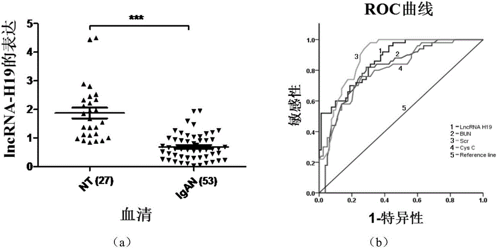 Chronic kidney disease renal function diagnostic kit based on lncRNA-H19 and application of lncRNA-H19