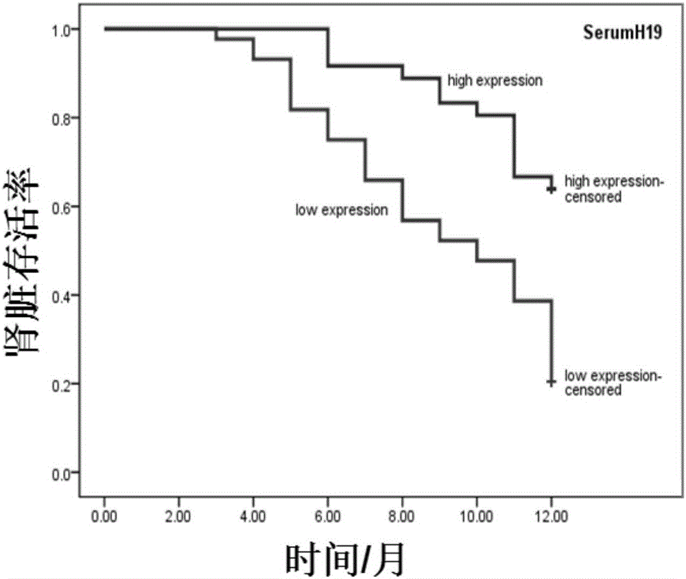 Chronic kidney disease renal function diagnostic kit based on lncRNA-H19 and application of lncRNA-H19