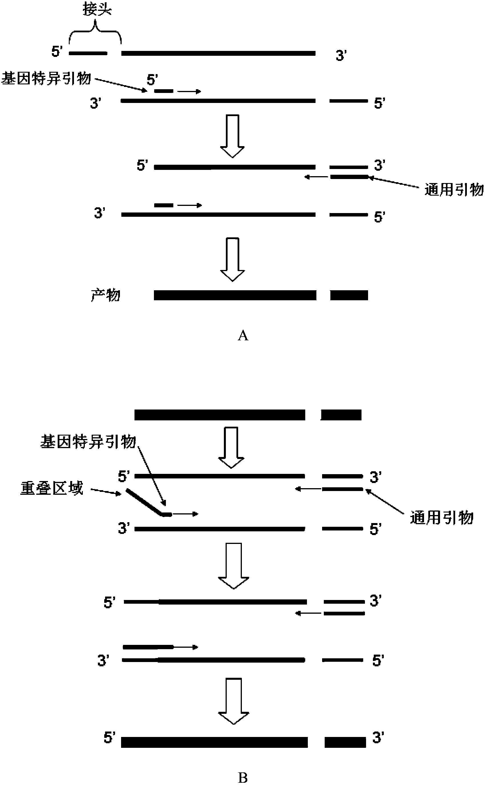 Multipurpose DNA segment enrichment method used for next generation sequencing