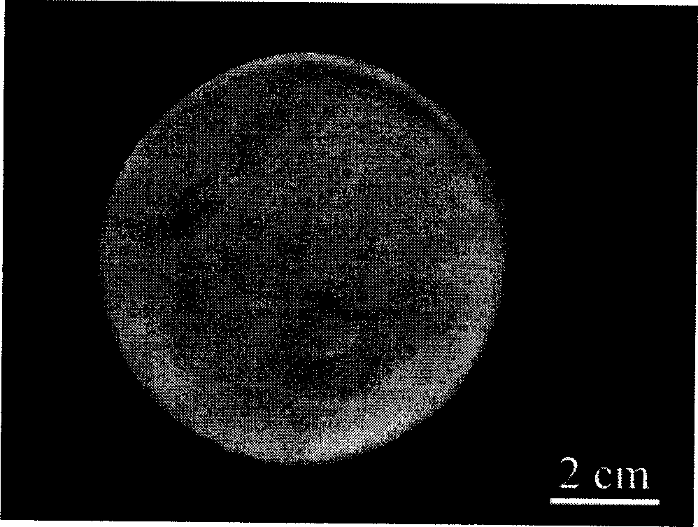 Collagen-chitin and silicon rubber bilayer skin regeneration support and its preparation method